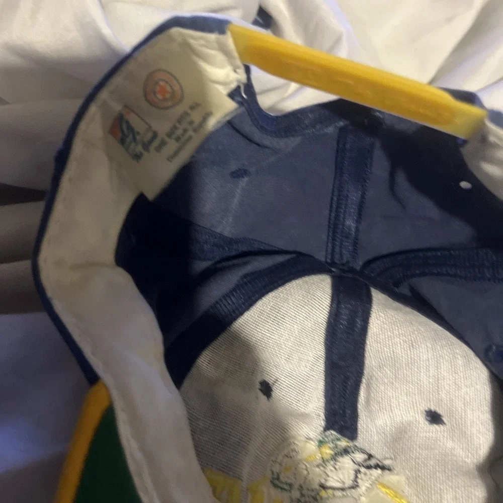 Vintage NCAA Notre Dame Fighting Irish Football The‎ Game Snapback Hat Cap OSFA